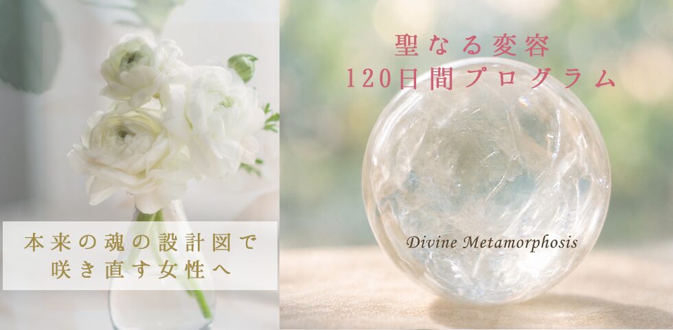 Divine Metamorphosis プログラム