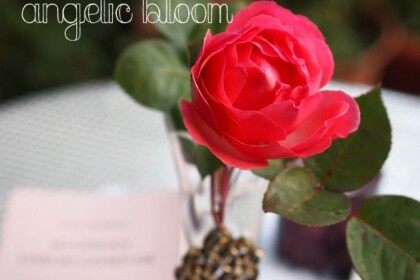 薔薇