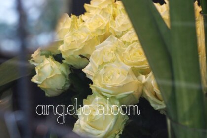 薔薇